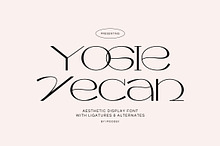 Yogie Vecan - Aesthetic Wide Font