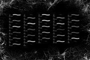 Spider Web Brush Set, a Brush Add-On by Zsolt Kosa Art (Thumbnail 5 of 6)