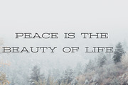 Banquo Serif Font Family, a Serif Font by Symufa (Thumbnail 5 of 6)