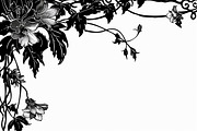 Floral Frame Silhouette Pack, an Illustration by BIPLOB EXPERT (Thumbnail 5 of 9)