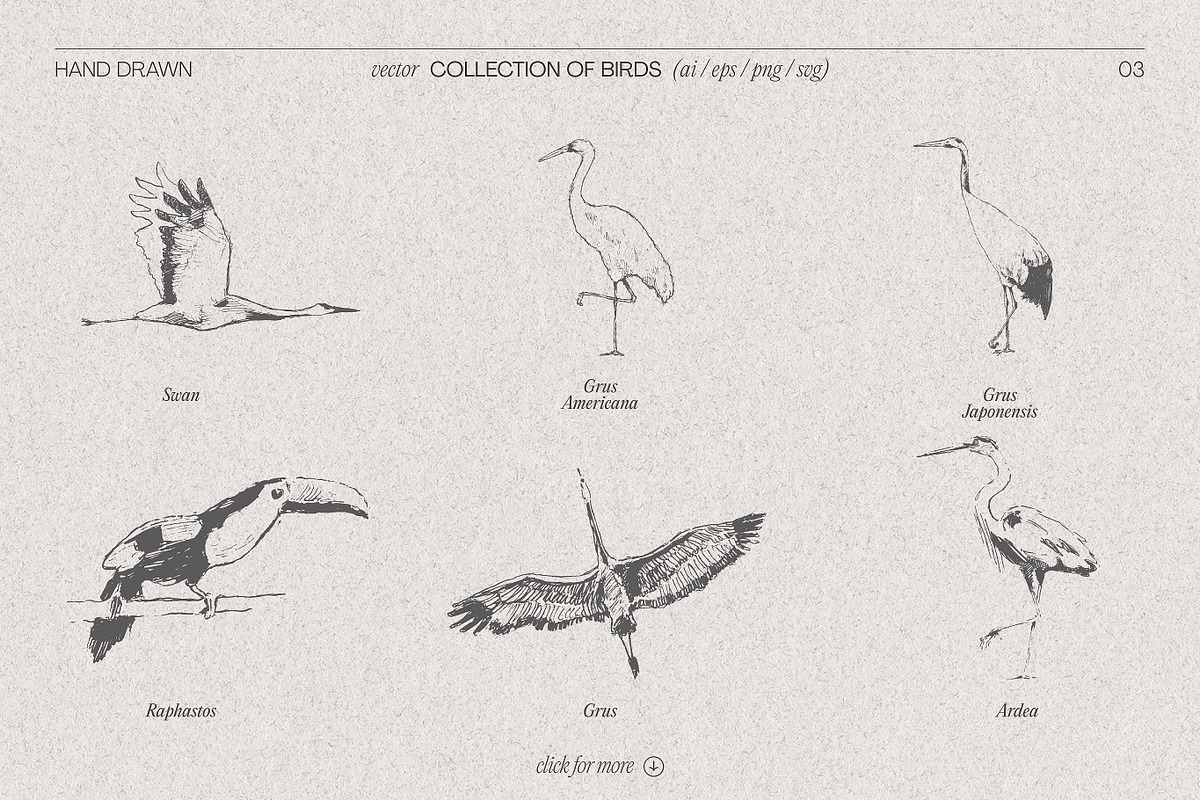 Birds of Various Species, an Animal Illustration by TheMountBirdStudio (Photo 4 of 6)