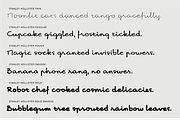 Stanley Hollister - Premium Bundle, a Handwritten Font by Punch (Thumbnail 4 of 8)
