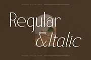 Serafilms Modern Stylish Serif, a Serif Font by Storytype Studio (Thumbnail 5 of 15)