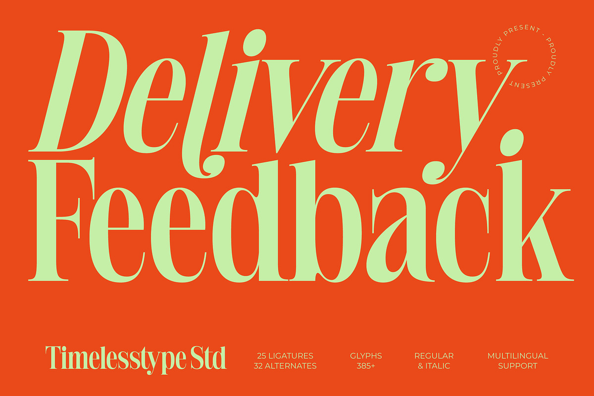 Delivery Feedback Modern Serif, a Serif Font by timelesstype.co (Photo 1 of 20)