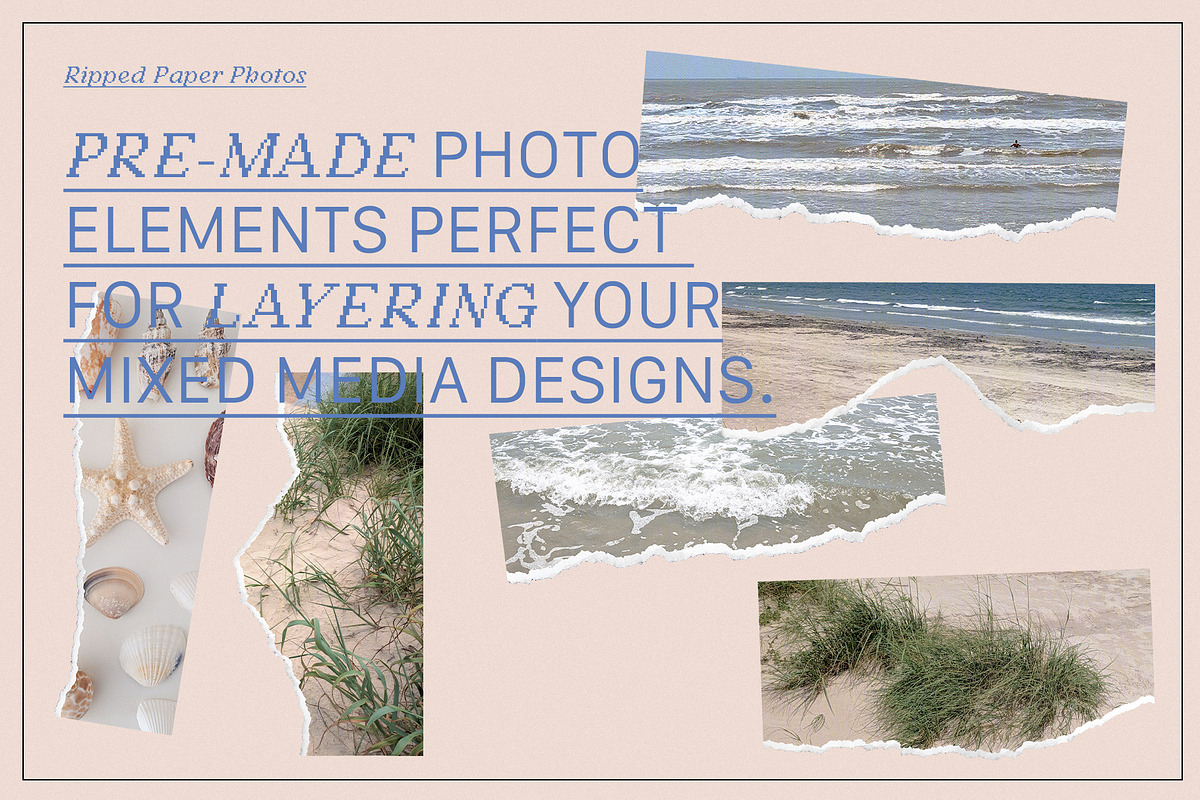 BRISA MARINA Seashells & Collage, an Object Graphic by Desert Poetic (Photo 5 of 5)
