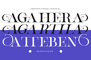 Aghetha Queen, a Serif Font by IM Studio (Thumbnail 3 of 9)