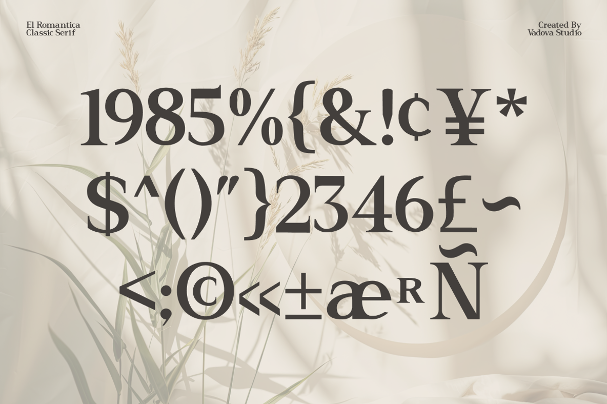 El Romantica Elegant Serif Font, a Serif Font by Vadovastd (Photo 3 of 7)
