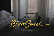 Selindia – Elegant Script Font, a Handwritten Font by BrandSemut (Thumbnail 2 of 11)