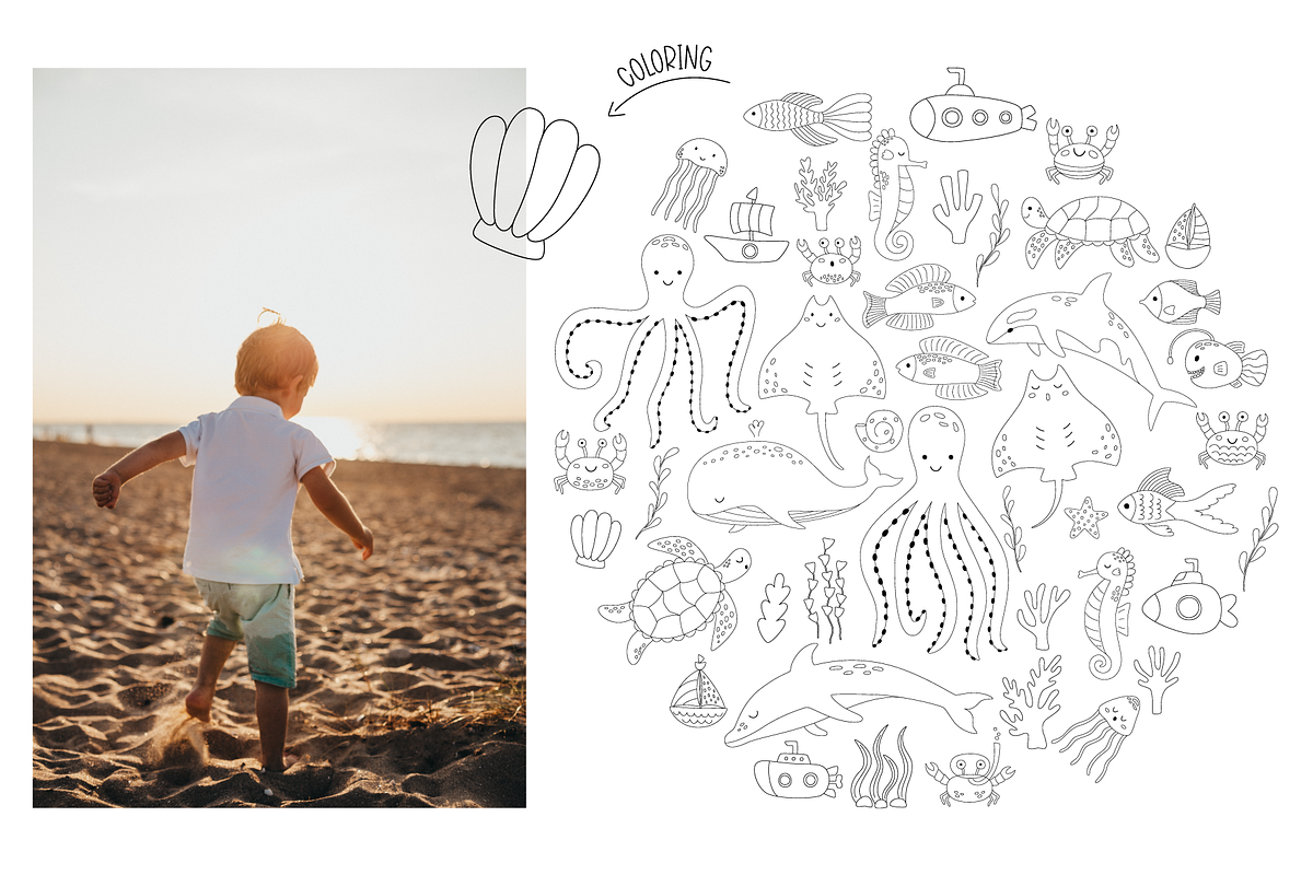 Marine World – cute sea animals, an Animal Illustration by ValeriiaFeeva (Photo 11 of 12)