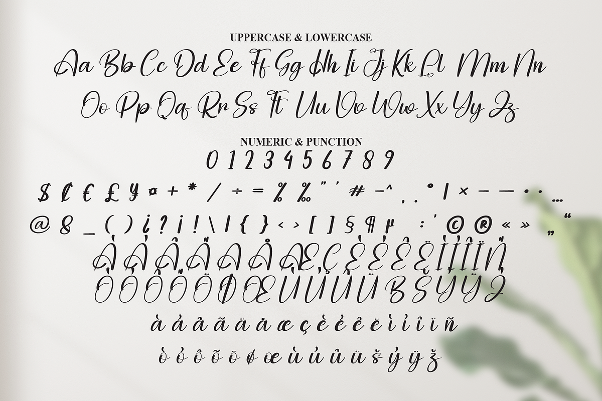 Agatha | Script Font, a Handwritten Font by Scratchones (Photo 7 of 9)