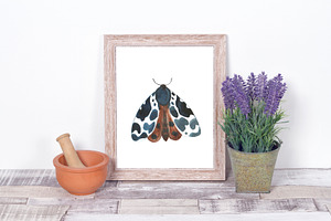 Watercolor Clipart. Moth Boho Png