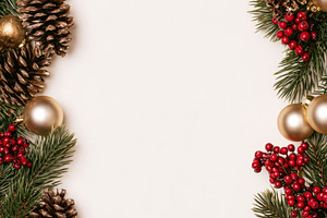 Christmas frame with pine cones red berries and fir branches