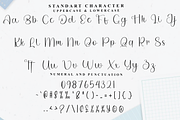 Wedding Photography, a Handwritten Font by FreshTypeINK (Thumbnail 4 of 8)