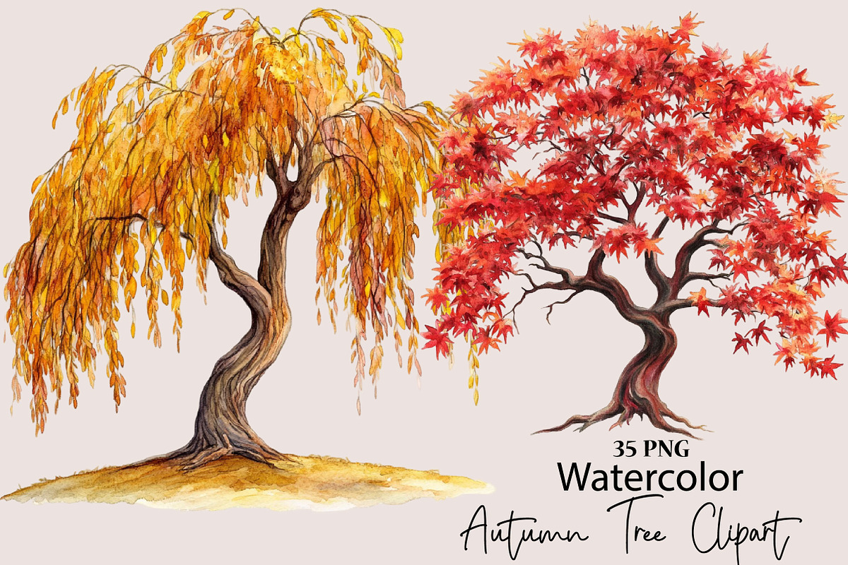 Watercolor Autumn Tree PNG Clipart, a Seasonal Illustration by SVGArt (Photo 1 of 5)