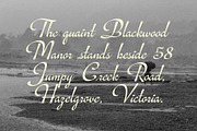 Bravelyn Script Family, a Script Font by Get Studio (Thumbnail 9 of 12)