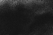Scales and Fur, a Texture Graphic by Jennifer Lauren Creative (Thumbnail 5 of 26)