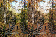 15 Aesthetic Fall Lightroom Presets, a Preset Add-On by TheWayfarerShoppe (Thumbnail 8 of 8)