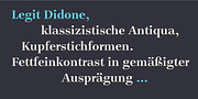 Legit Didone, a Serif Font by Finaltype (Thumbnail 8 of 13)