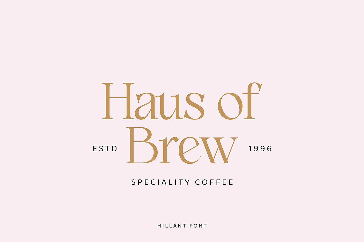 Hillant - Elegant Condensed Serif, a Serif Font by Dikas Studio (Photo 2 of 9)