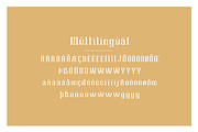Brylan Typeface, a Serif Font by ANDR35 (Thumbnail 7 of 8)