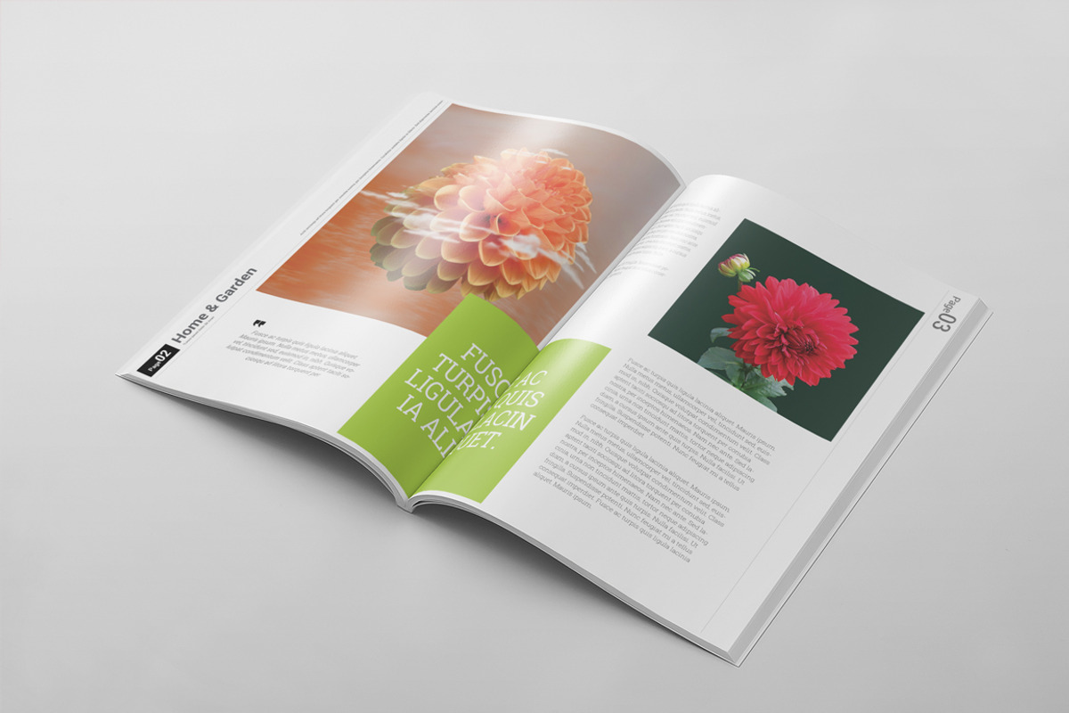 Magazine Template 42, a Magazine Template by pmvch (Photo 12 of 15)