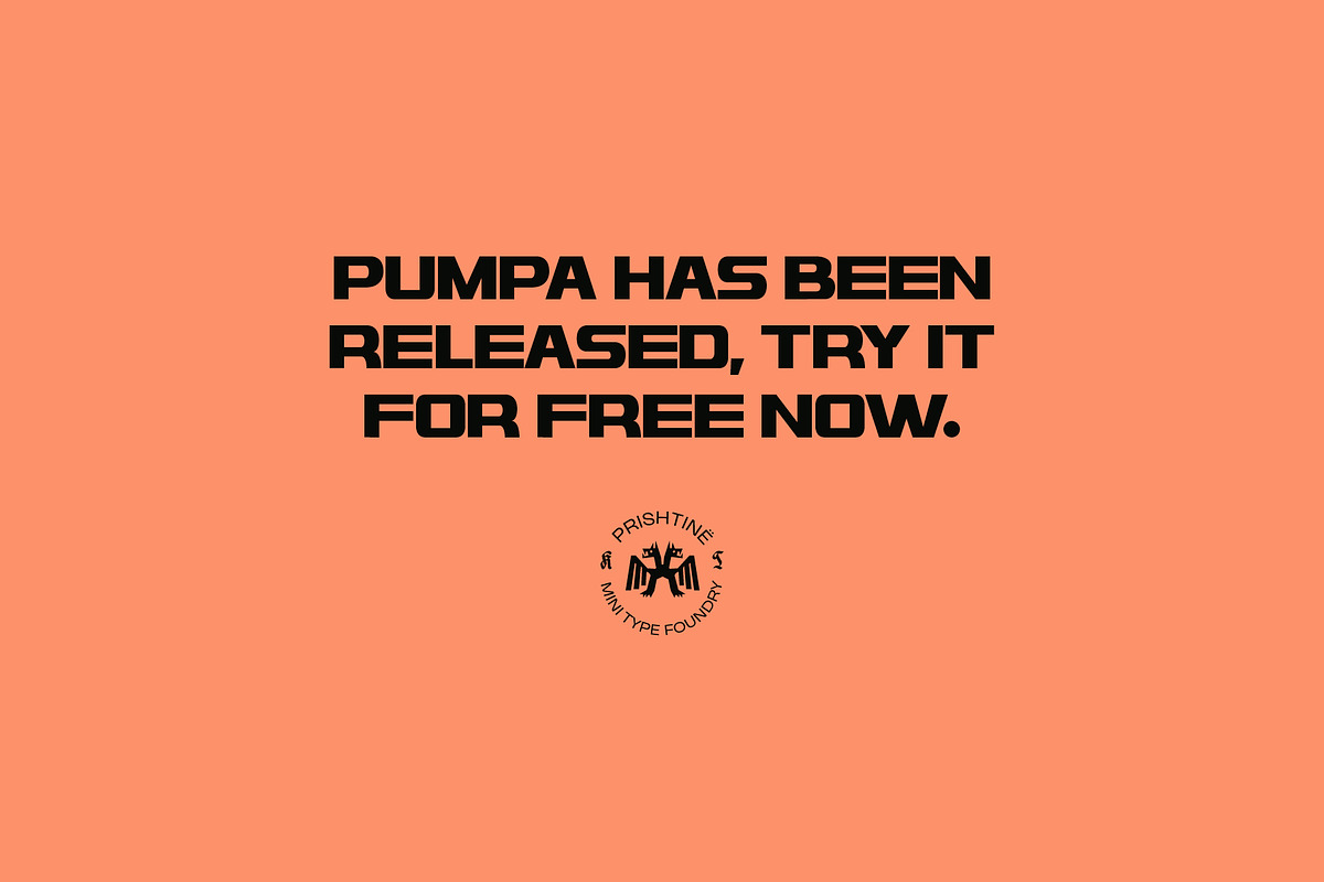 Pumpa - Sans Type, a Sans Serif Font by Kulturë Type (Photo 9 of 9)
