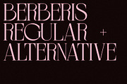 BERBERIS - Display Unique Serif, a Serif Font by Misha Sova (Thumbnail 3 of 14)