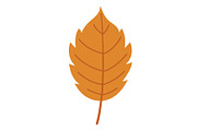 Autumn Leaves Vector Clipart Bundle, an Object Graphic by Yuby Creative (Thumbnail 6 of 12)