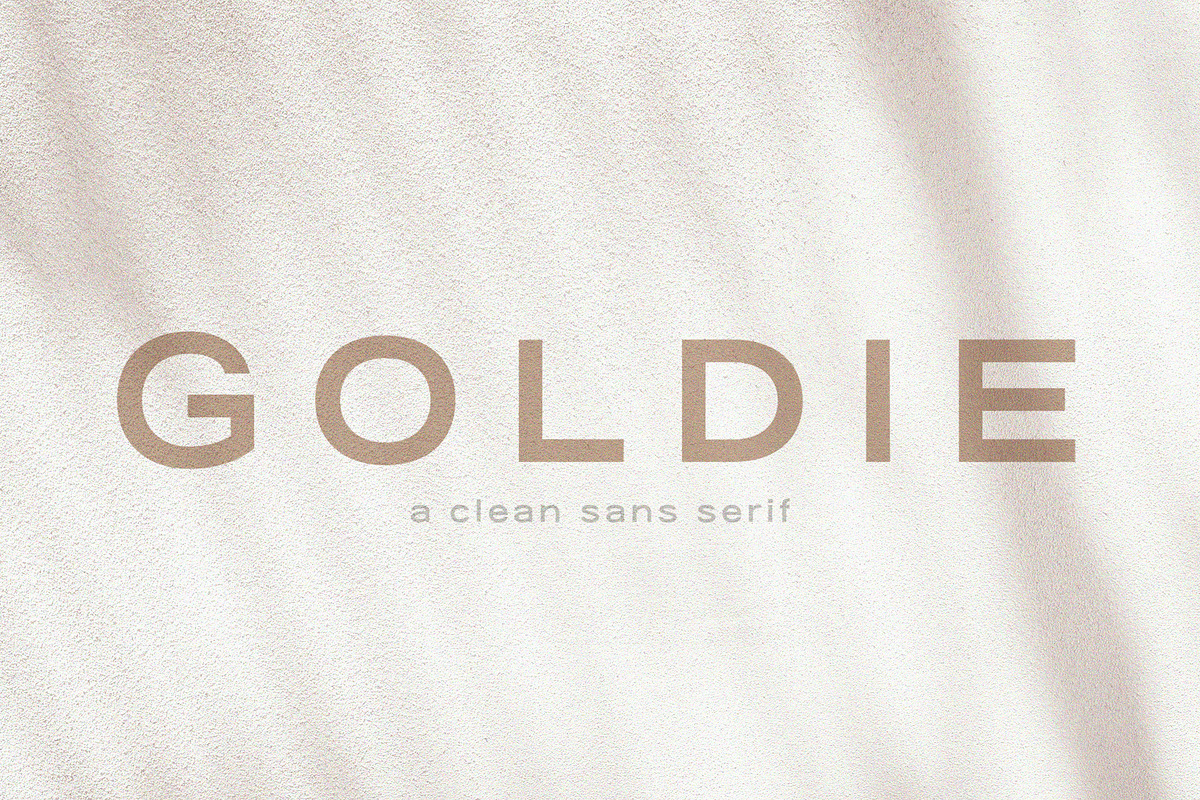 Goldie | A Clean Quotable Sans, a Sans Serif Font by Blythe Green (Photo 1 of 11)