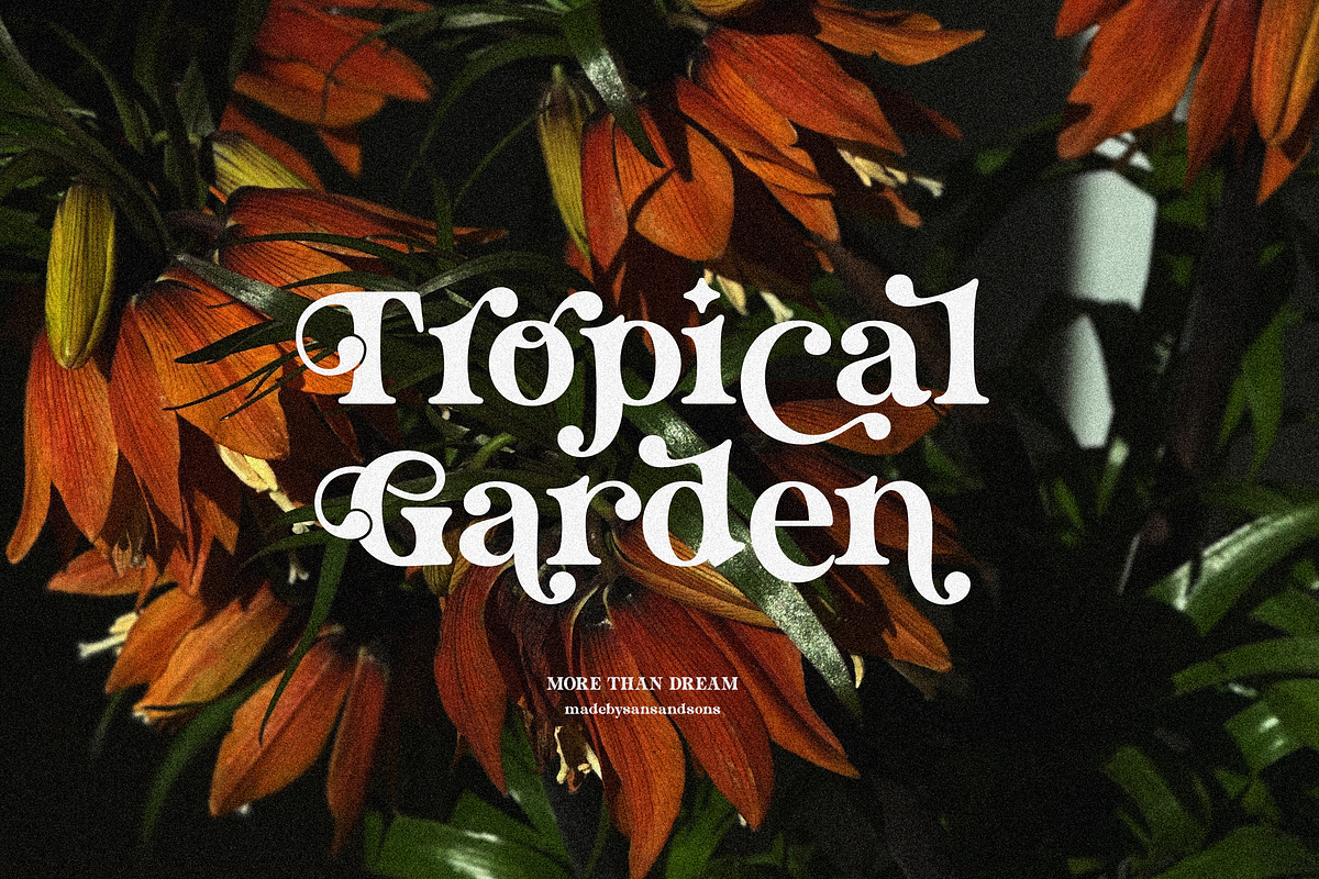 More Than Dream, a Serif Font by Sans & Sons (Photo 3 of 10)
