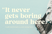 Blood Orange Vintage Serif, a Serif Font by Fenotype (Thumbnail 4 of 16)