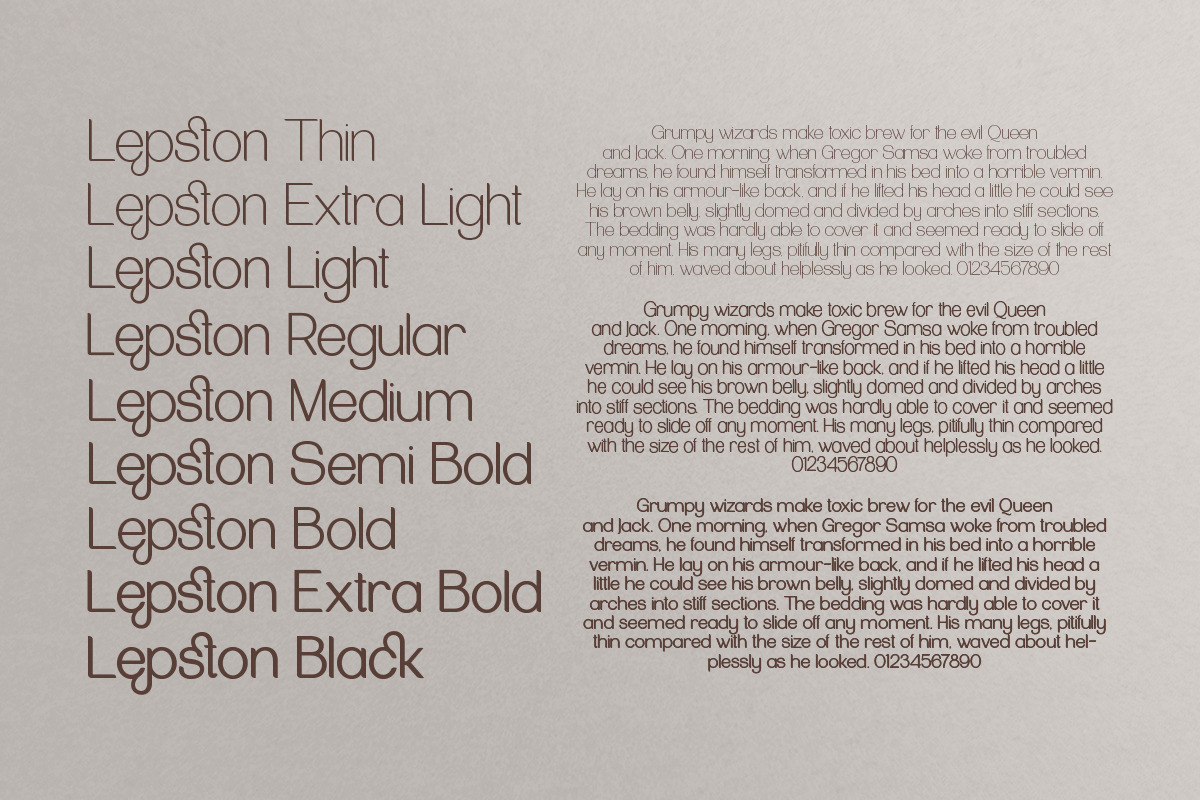 Lepston, a Sans Serif Font by Pista Mova (Photo 4 of 9)