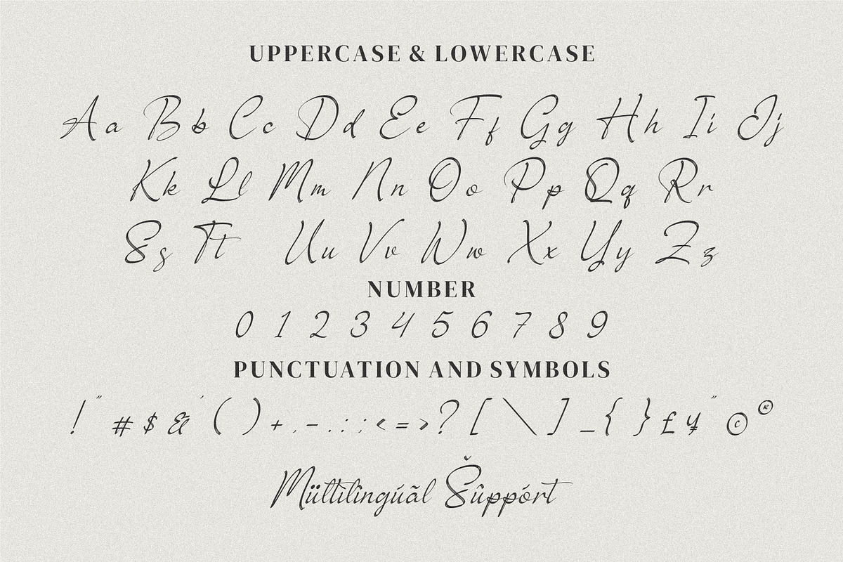 Brush Renytha, a Script Font by Integritype Studio (Photo 8 of 10)