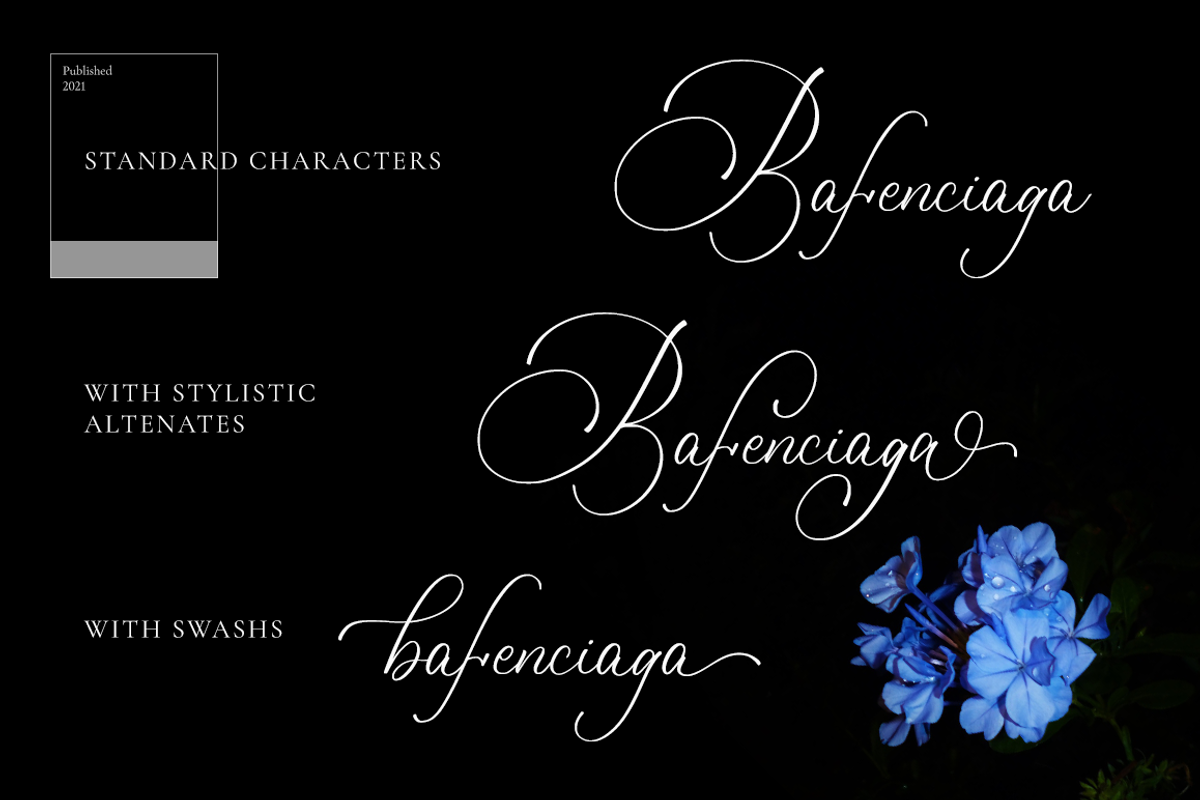 Bulvaryante - Romantic Calligraphy, a Script Font by RockboyStd (Photo 3 of 12)