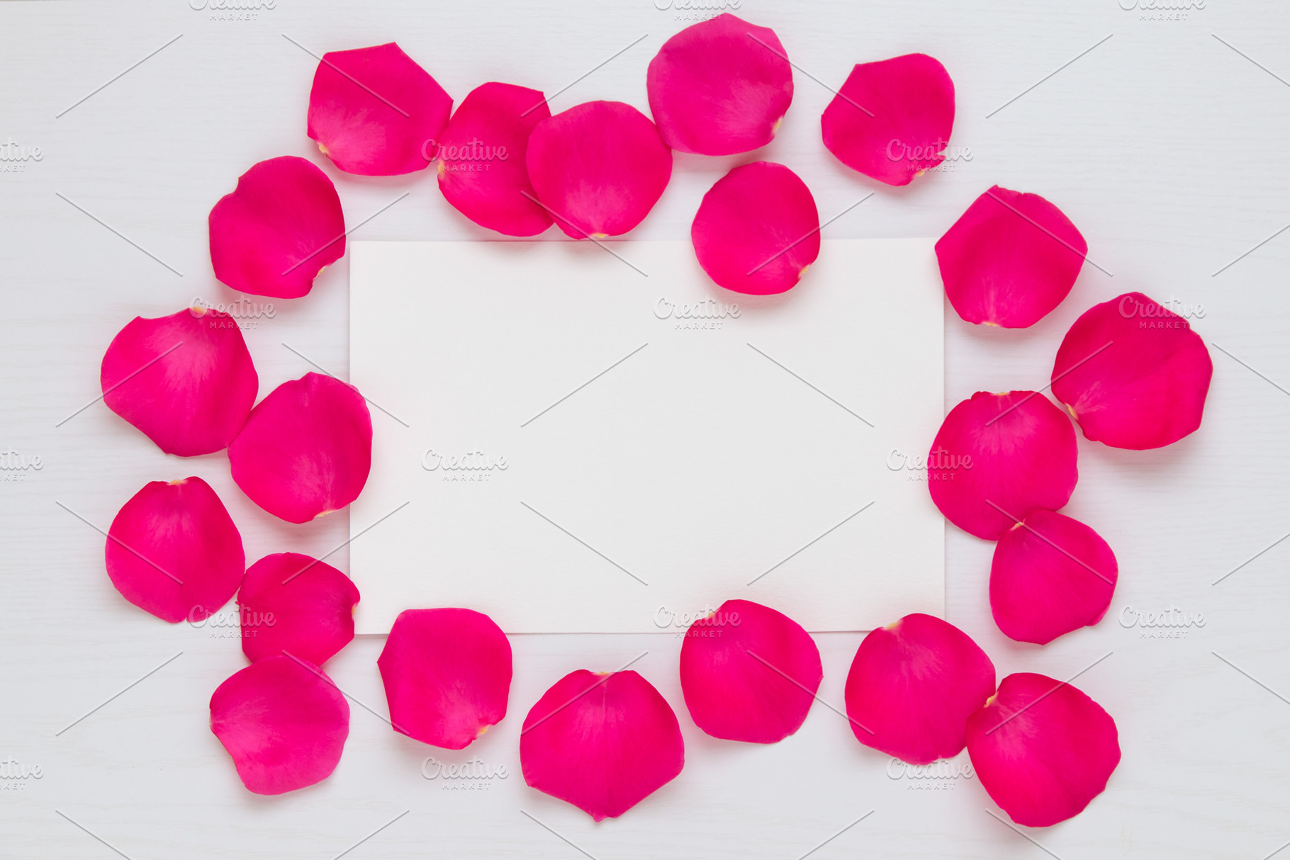 Flower frame with rose petals, a Holiday Photo by Irina Moskalev