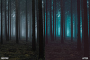 Dark and Moody Lightroom Presets, a Preset Add-On by AAA Presets (Thumbnail 4 of 17)
