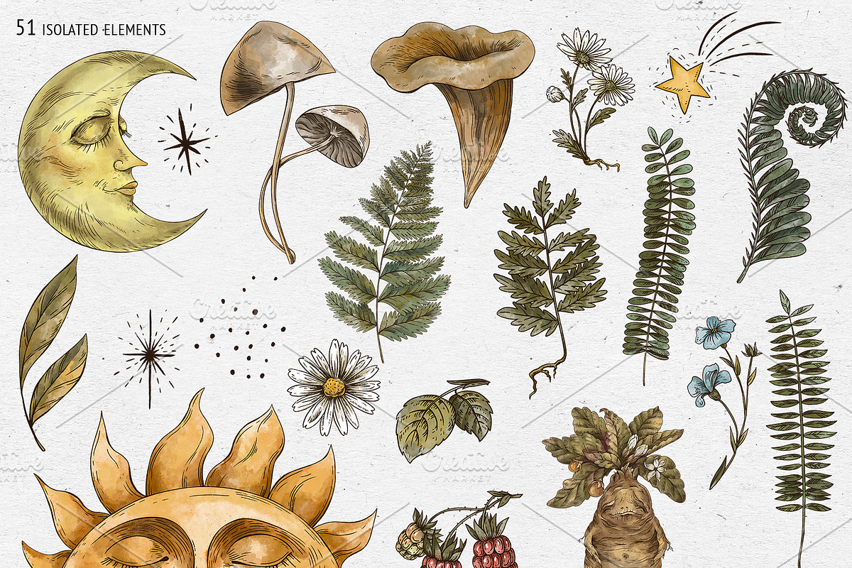 Witchcraft clipart Green witch plant, a Texture Illustration by Belusuab (Photo 3 of 15)