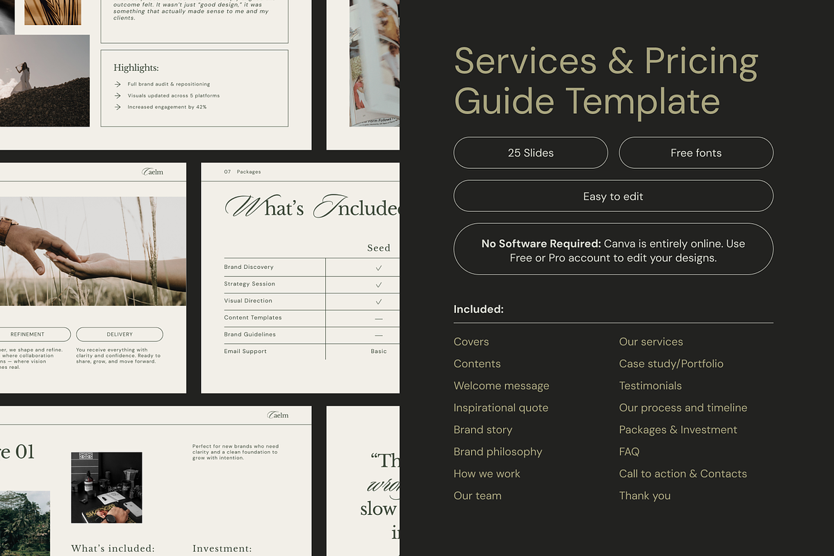 CAELM Services Pricing Guide | CANVA preview 3