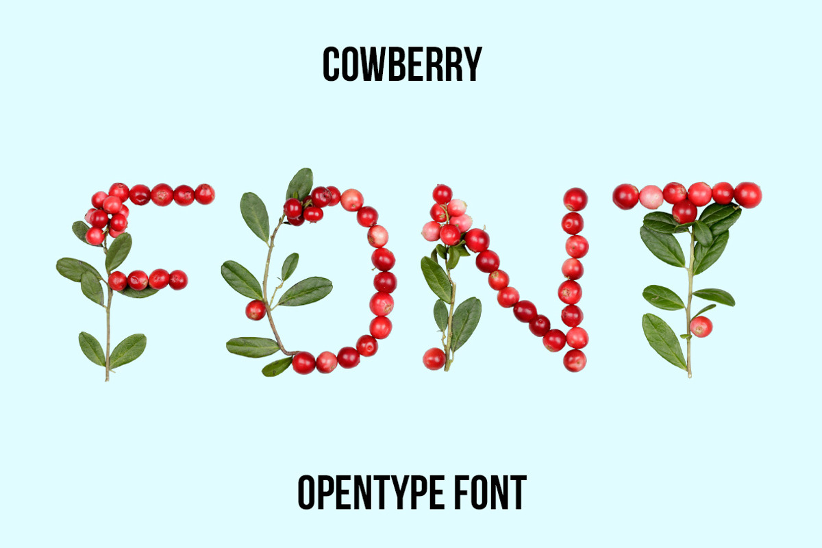 Cowberry Font, a Font by Handmadefont (Photo 1 of 8)