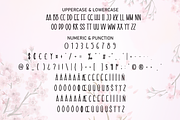 Cherry Blossom | Script Font, a Script Font by Scratchones (Thumbnail 7 of 8)