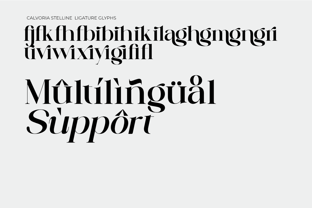 Calvoria Stelline, a Serif Font by Muksal Creative (Photo 10 of 10)