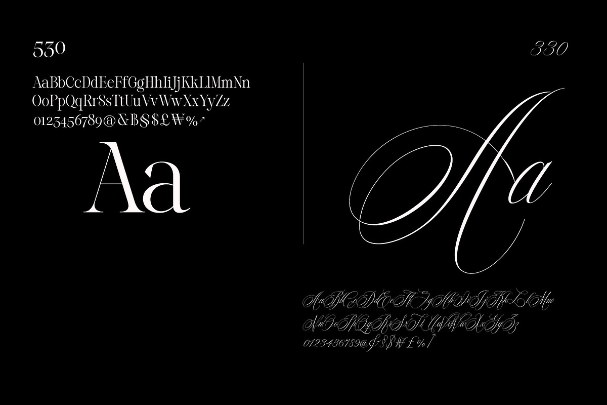 Reichamerina font family, a Serif Font by Ryul Davidson (Photo 15 of 27)