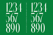 Glomreis Modern Editorial Serif, a Serif Font by timelesstype.co (Thumbnail 5 of 20)