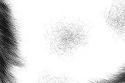 Hair Brushes for Photoshop, a Brush Add-On by Jinro (Thumbnail 2 of 9)