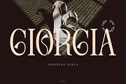 Ledira | Display Serif Font, a Serif Font by Denustudios (Thumbnail 6 of 15)