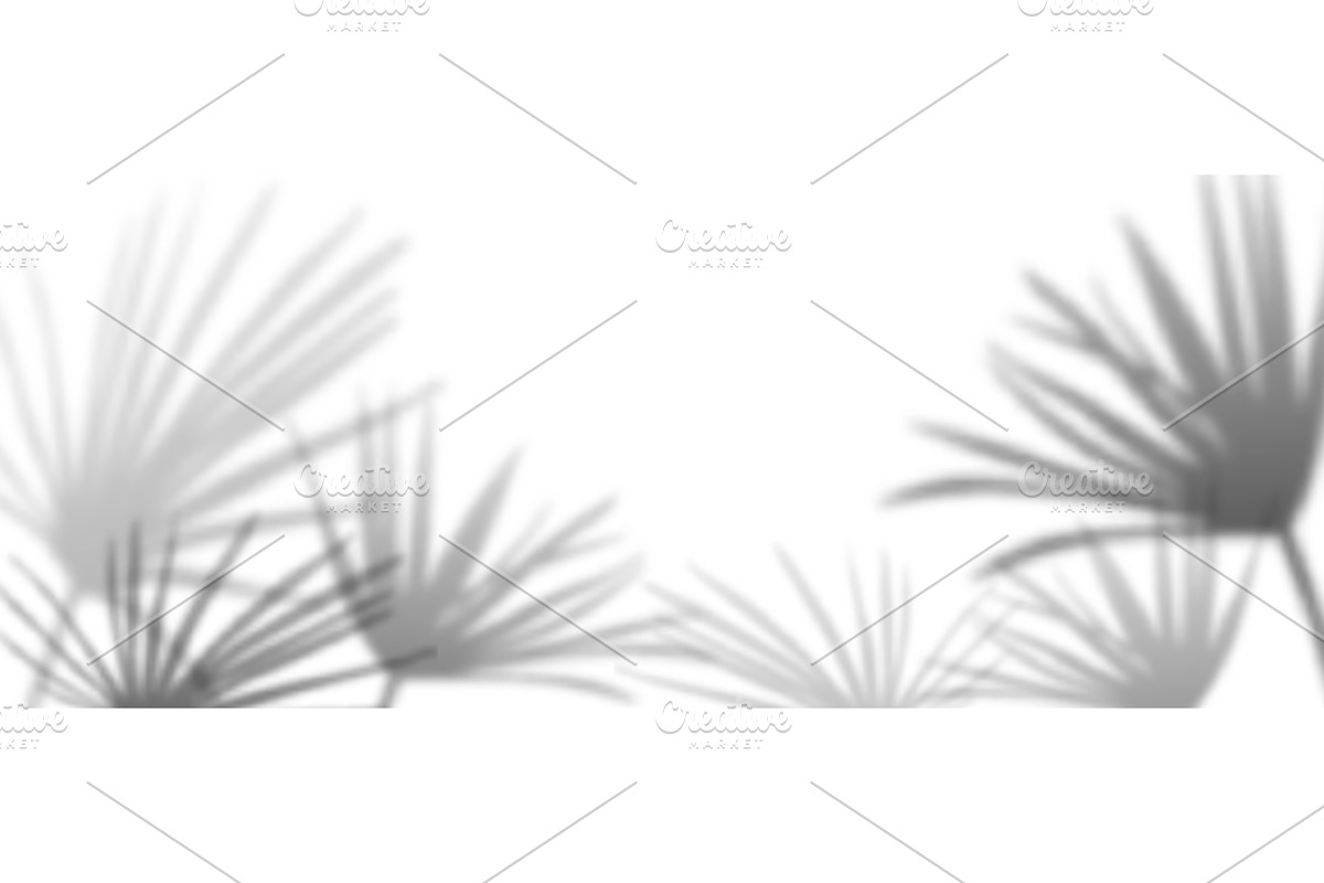 Realistic palm leaf shadow overlay, an Object Illustration by art PVP - market