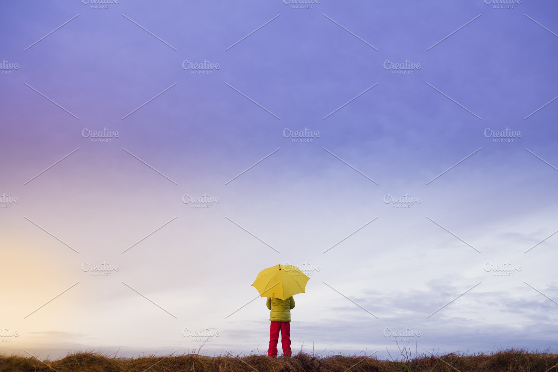 person with umbrella on rainy day, a Photo by robcar