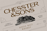 Preston - Classy All-caps Sans, a Sans Serif Font by Harmonais Visual (Thumbnail 6 of 10)