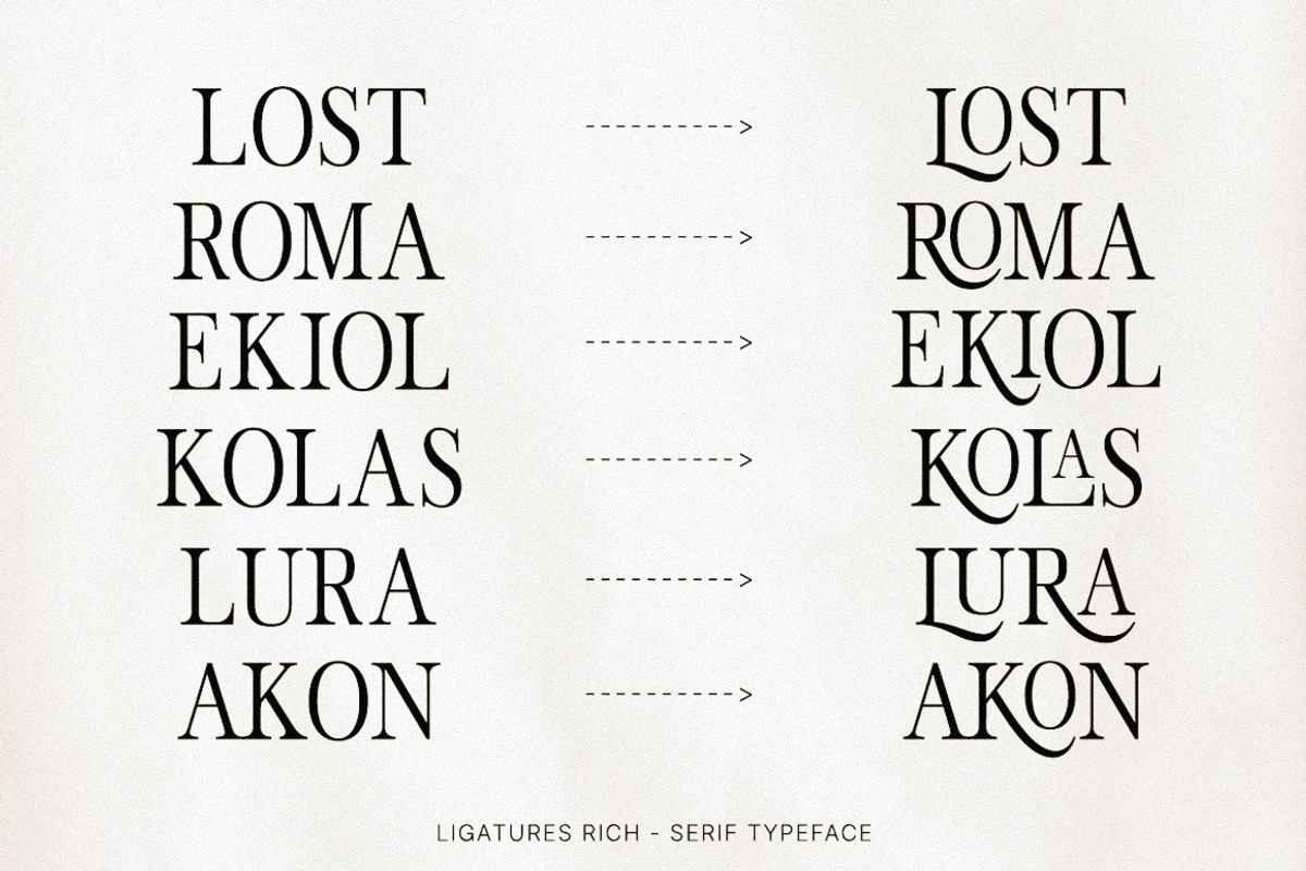 The Stripes Editorial + Italics, a Serif Font by Stripes Studio (Photo 14 of 23)
