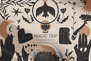 Magic Trip